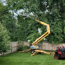 Fort Dix, NJ Tree Removal Company